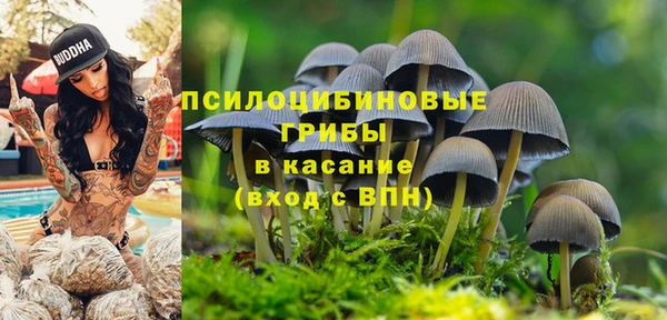 герыч Арсеньев